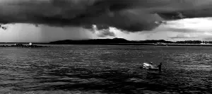 Rakesh 01 Regen op komst